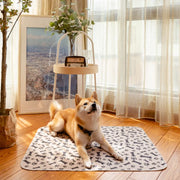 Traversina lavabile e riutilizzabile super assorbenti per cani e gatti