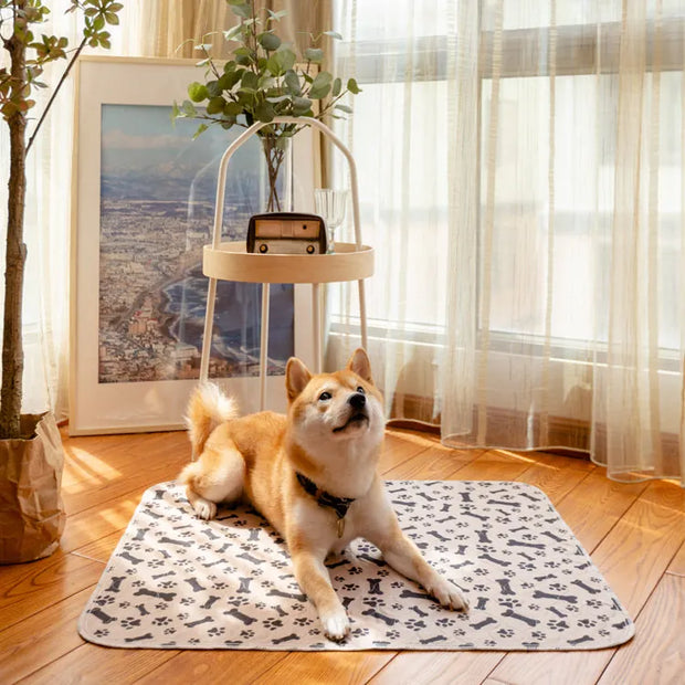Traversina lavabile e riutilizzabile super assorbenti per cani e gatti