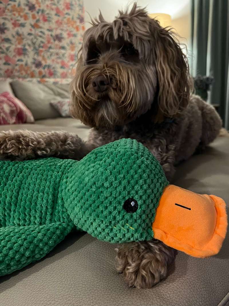 Mr. Quack Il Super Papero Calmante